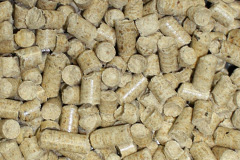 Hasbury biomass boiler costs